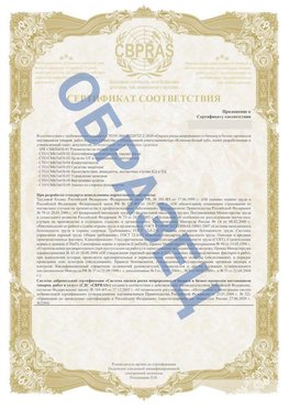 Образец Приложение к СТО 01.064.00220722.2-2020 Пулково Сертификат СТО 01.064.00220722.2-2020 